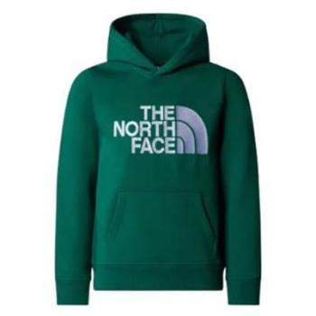 Sudadera con capucha The North Face Drew Peak verde oscuro logo gris niño - L, Sudadera Capucha Niño talla 12, Sudadera niño Verde (L), THE NORTH FACE NF0A89HHNL11 B Drew Peak P/O Hoodie