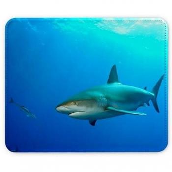 Colección 14, Custom adhesivo para portátil Skin de mangas de diferentes tamaños, Sea Life 10101, Leather Mouse Mat