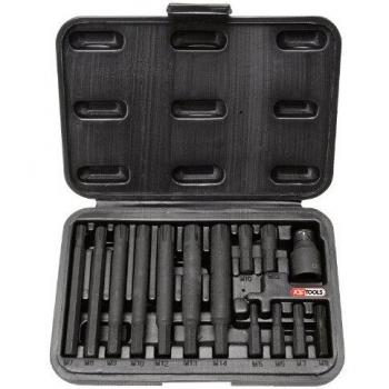 KS Tools 911.4306 5/16\ Juego de puntas RIBE®, 14 pzs