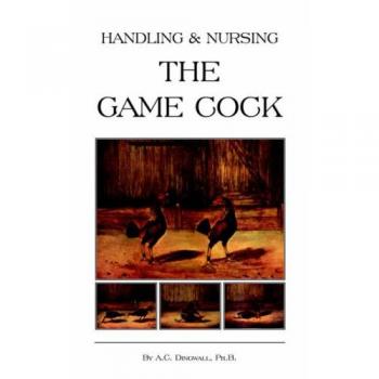 Handling and Nursing the Game Cock: A Comprehensive Guide to Cockfighting Care