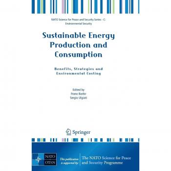 Sustainable Energy Production and Consumption: Benefits, Strategies and Environmental Costing