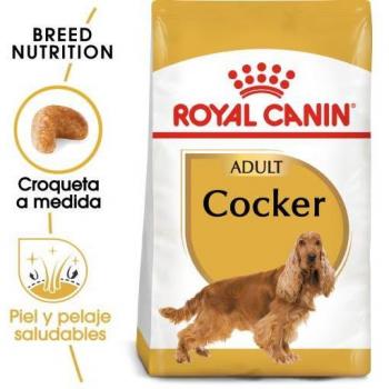 Royal Canin Breed Health Nutrition Cocker Adult Dry Dog Food 3kg