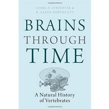 Historical Brain Development Educational Resource