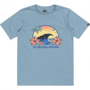 Camiseta Quiksilver Riding Today manga corta azul oscuro niño 16
