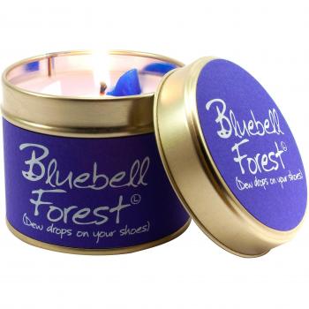 Lily Flame Bluebell Forest Lata, Color Morado