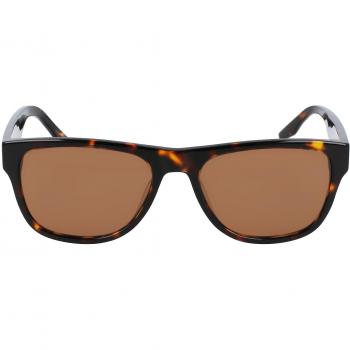 Converse Unisex Oval Sunglasses CV500S - Brown - One Size