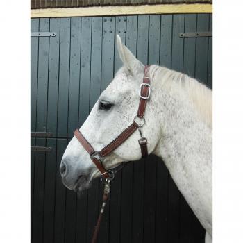 Horka Cabestro piel/nailon Lenny, Brown/Silver, Pony