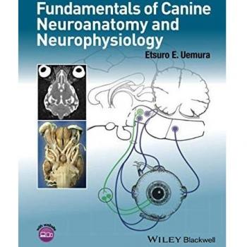 Fundamentals of Canine Neuroanatomy and Neurophysiology