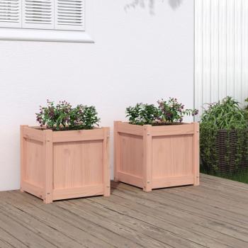vidaXL Garden Planters 2 pcs Solid Wood Douglas