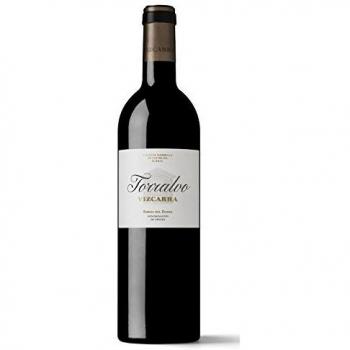 Vizcarra Torralvo 2017