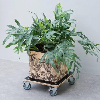Nature Soporte con ruedas para plantas madera negro cuadrado 30x30 cm, circular Ø30 cm, y cuadrado 38x38 cm