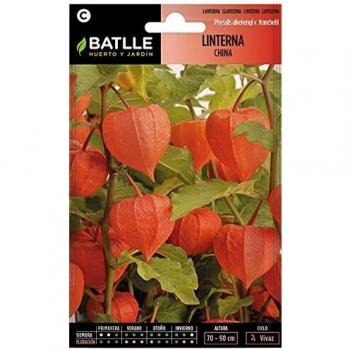 Semillas de Flores - Linterna China - Batlle