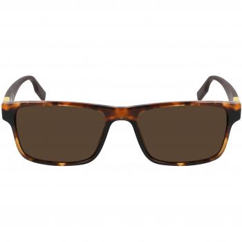 Converse Men's Sunglasses CV520S Rise-Up Brown 55mm