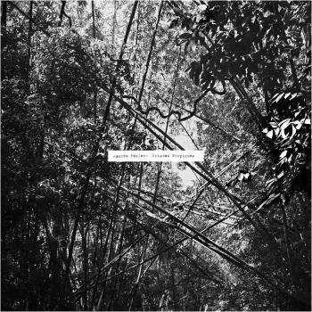 Tristes Tropiques Vinyl LP with Download Coupon