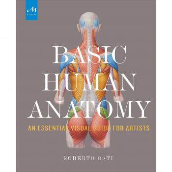 Basic Human Anatomy: An Essential Visual Guide for Artists
