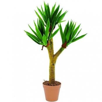 Europalms 105 cm YUCCA Palm Bush