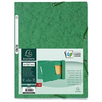 Exacompta 55503E - Carpeta con goma, A4, color verde
