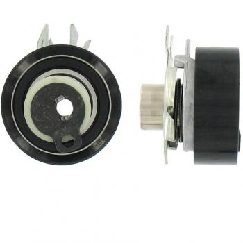 SKF VKM 11107 Kit tensor de distribución