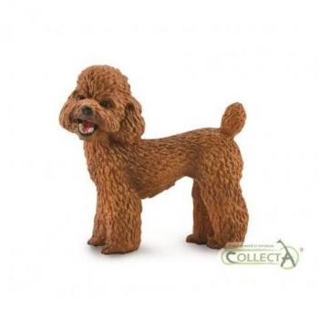 Caniche - M. Figura de juguete a escala para regalar a niños y niñas mayores de 3 años (Collecta. 90188880)
