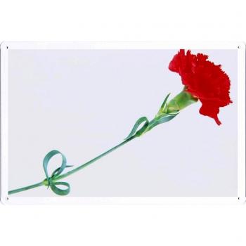 Metal cartel Cartel de chapa Hojalata sesión Flower Tin Sign Carnation Flower Close-Up 32106 Retro Vintage Pared Decoración by hamgaacaan