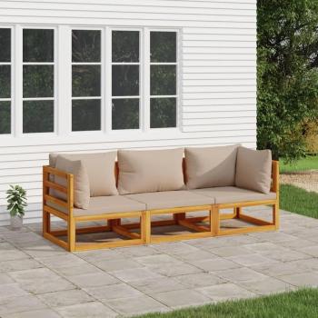 3-Piece Solid Wood Garden Lounge Set with Taupe Cushions