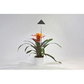 Lámpara LED para plantas SUNLiTE con soporte telescópico Rojo
