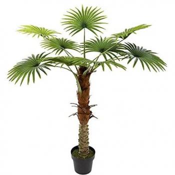 Planta decorativa Tronco de Palmera