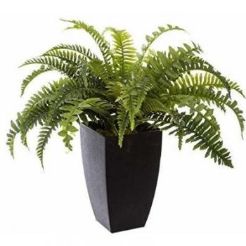Planta Artificial de Helecho en Maceta - Altura 55 cm - Diseño Contemporáneo y Sin Mantenimiento