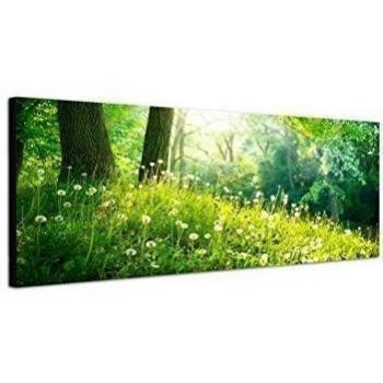 Pared Imagen sobre lienzo como panorámico en 150 x 50 cm Bosque Wiese Diente de luz solar