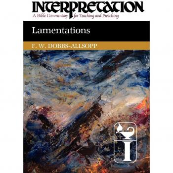 Comentario Bíblico sobre Lamentaciones: Interpretación para Enseñanza y Predicación (Edición en Rústica)