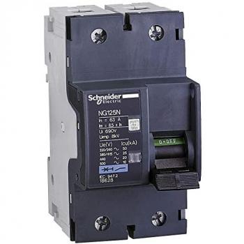 Interruptor Automático Magnetotérmico Schneider NG125N 2P 40A Curva C