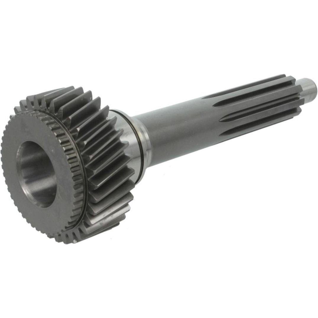 Imagen Principal