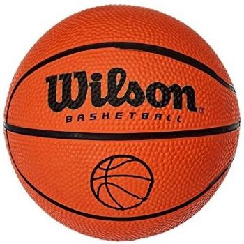 Micro Wilson Pelota de Baloncesto