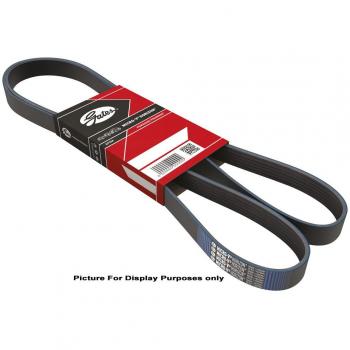 Correa trapecial poli V GATES 5PK1435, longitud 1435 mm, ancho de la correa 10 mm, número de ranuras 5