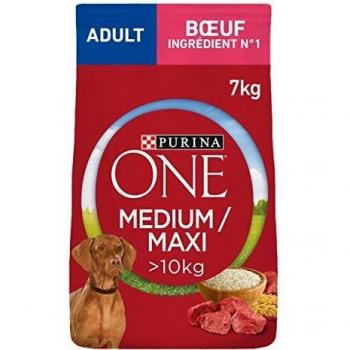 PURINA ONE Medium/Maxi Adult Beef and Rice - Economy Pack: 2 x 7 kg