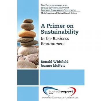 Guía Práctica sobre Sostenibilidad: En el Entorno Empresarial (Colección de Sostenibilidad Ambiental y Social para Negocios)
