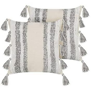Conjunto de 2 cojines decorativos de algodón blanco y gris 45 x 45 cm con borlas y patrón a rayas