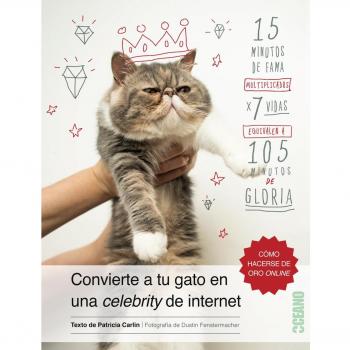 Convierte A Tu Gato En Una Celebrity De Internet