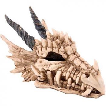 Dragon Skull Money Box