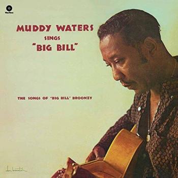 Big Bill Broonzy Tribute Vinyl Collection