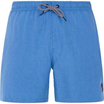 Bañador de hombre Davey Protest - Bañador corto, diseño moderno, tejido ligero y rápido secado, ajuste cómodo, ideal para actividades acuáticas