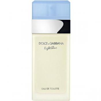 Dolce & Gabbana Light Blue Eau de Toilette Spray 25ml