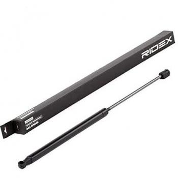 Amortiguador de maletero RIDEX 219G0446 para FIAT BRAVO II (198)