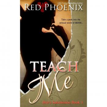 Teach Me: Brie's Submission - A BDSM Education Guide by Red Phoenix