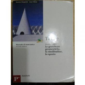 Manuale di geometria. Modulo P plus: Talete. Le grandezze geometriche, la similitudine,lo spazio. Per le Scuole superiori