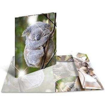 HERMA 19323 Carpeta de dibujo Animales brillante con motivo Koala, A4, plástico resistente, con impresión interior, carpeta de 1 palmo