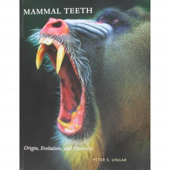 Mammal Teeth: Origin, Evolution, and Diversity