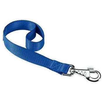 Ferplast Correa Nylon Club GM25 45 Azul