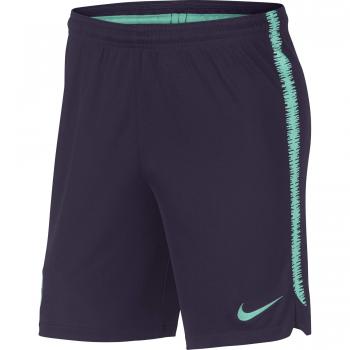 Nike 894346 – 524 – Pantalones de fútbol para Hombre, Hombre, Color Purple Dynasty/Hyper Turquoise/Hyper Turquoise, tamaño FR : L