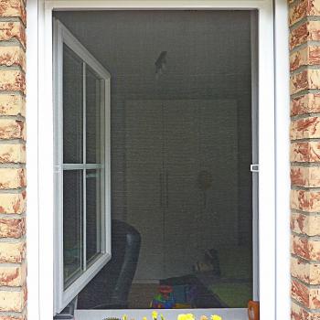 jarolift Mosquitera para Ventana Profi Line, Protección contra Insectos, Marco de Aluminio Acortable, 130 cm x 150 cm